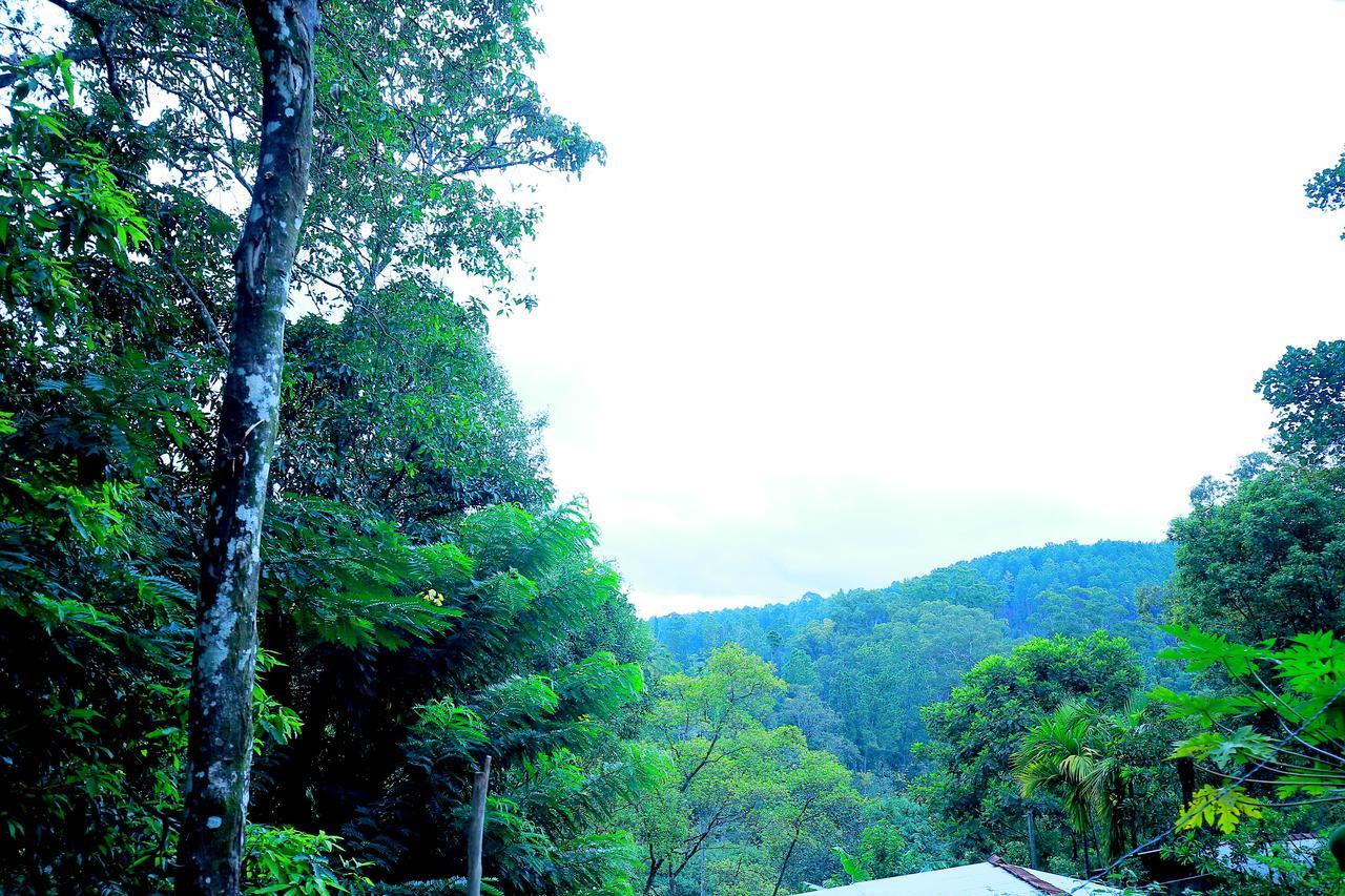 Secret Nest Homestay Ella Exterior photo
