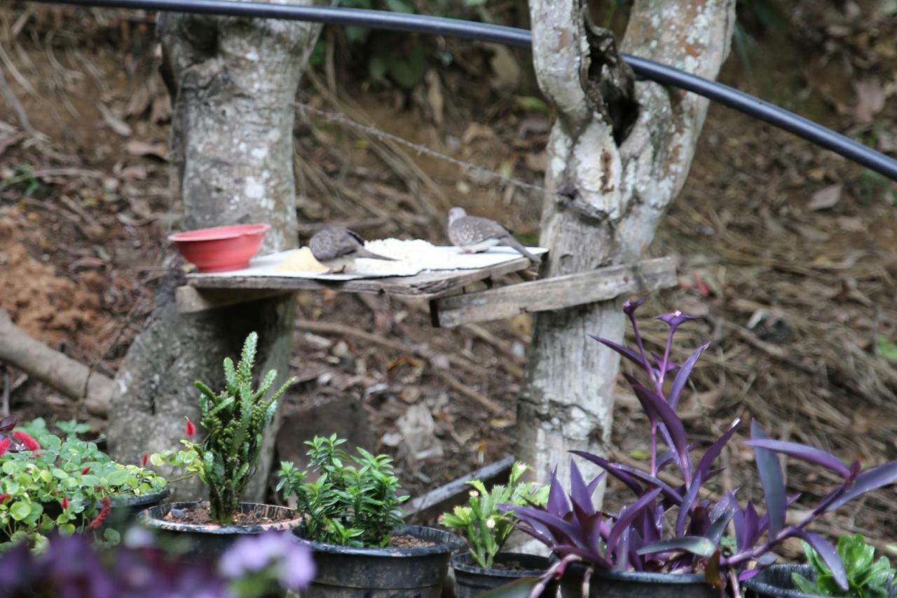 Secret Nest Homestay Ella Exterior photo